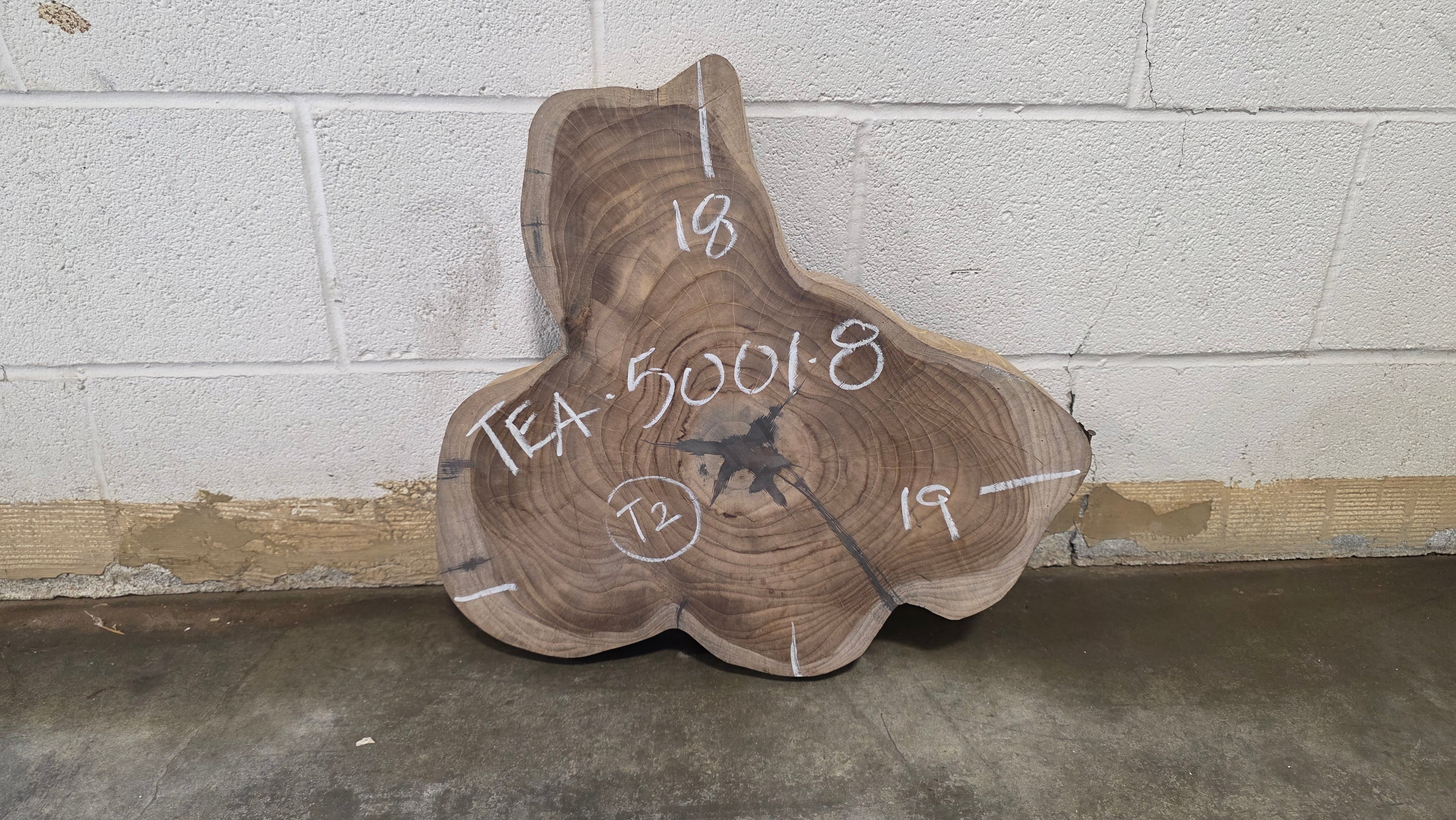 Teak | TEA-5001-8