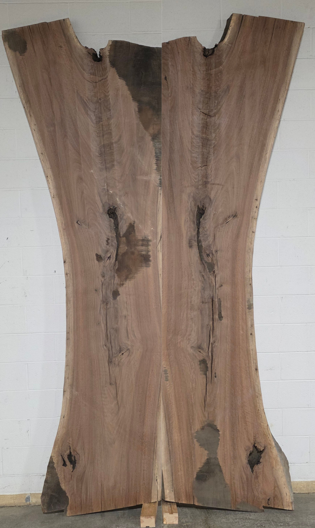 Black Walnut | BW-5006-1&2