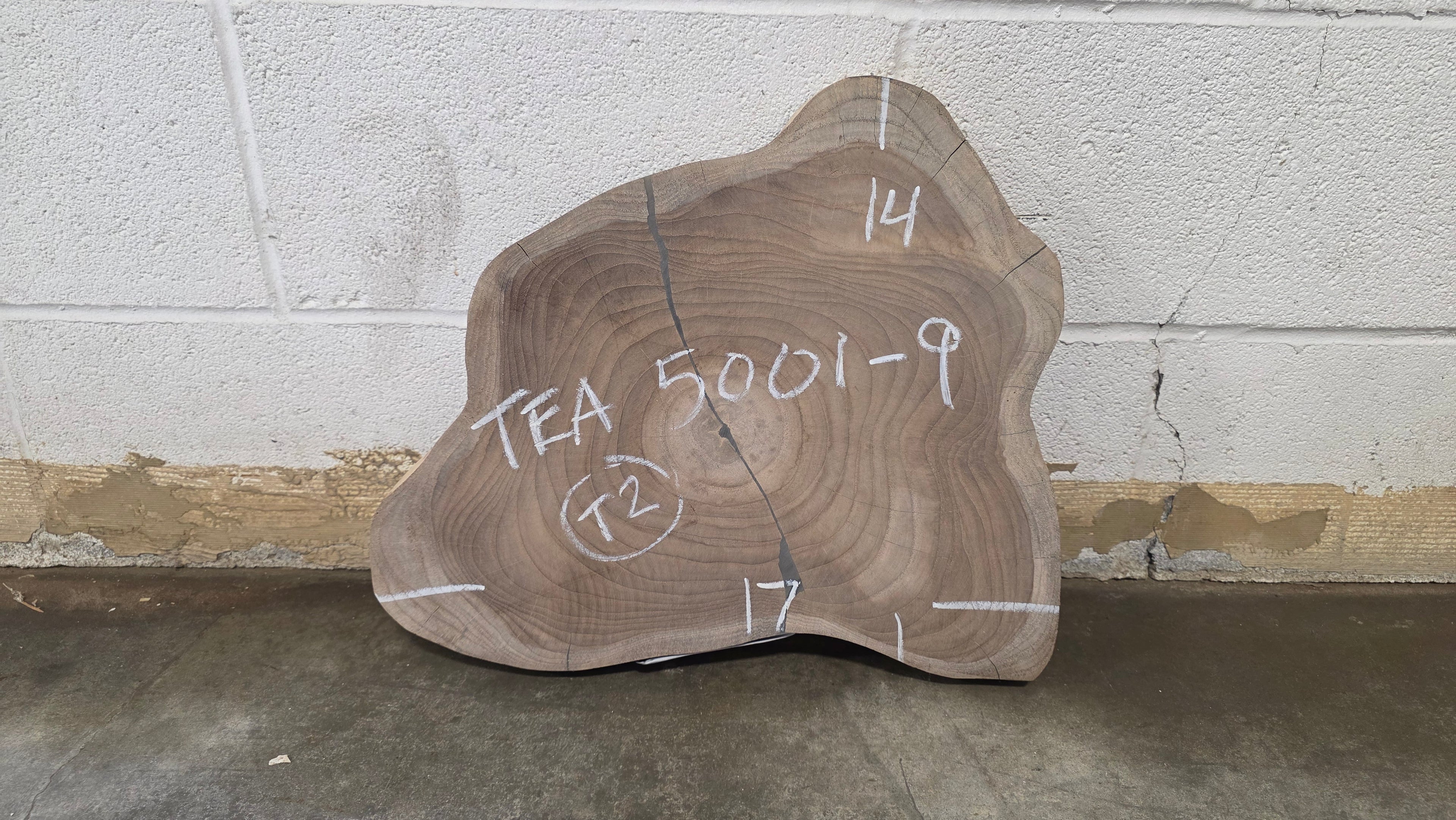 Teak | TEA-5001-9