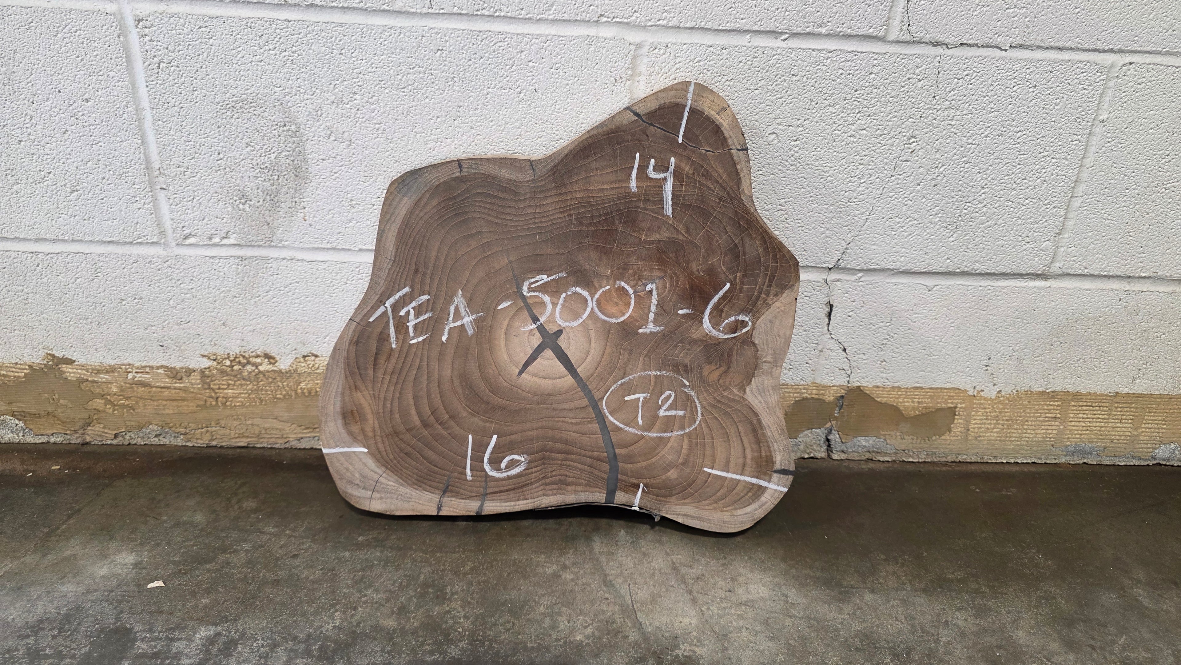 Teak | TEA-5001-6