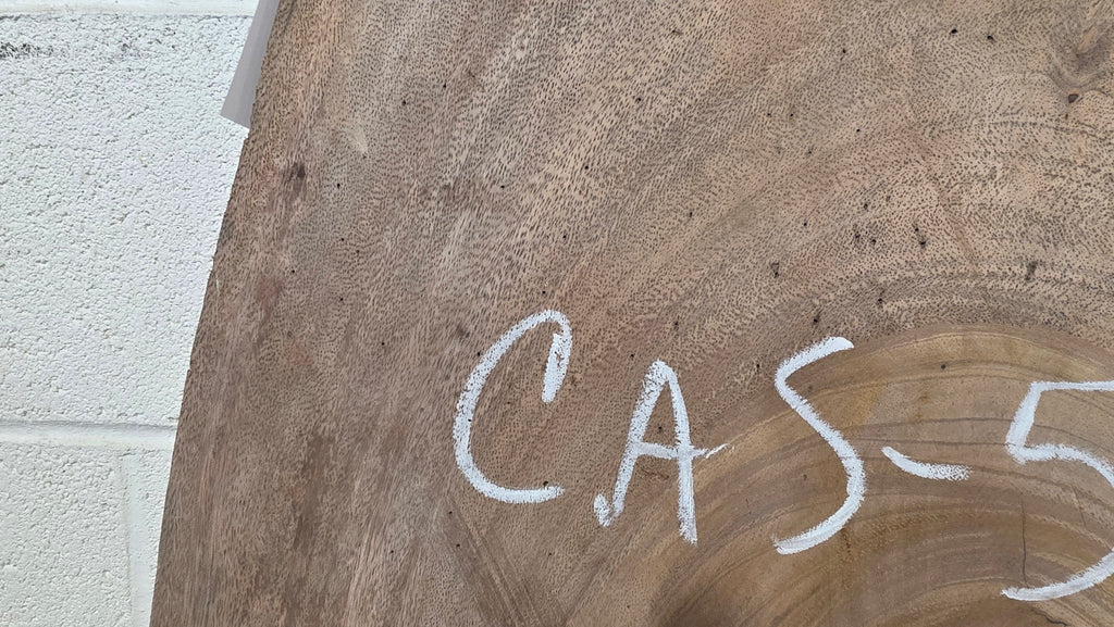 Wild Cashew | CAS-5002