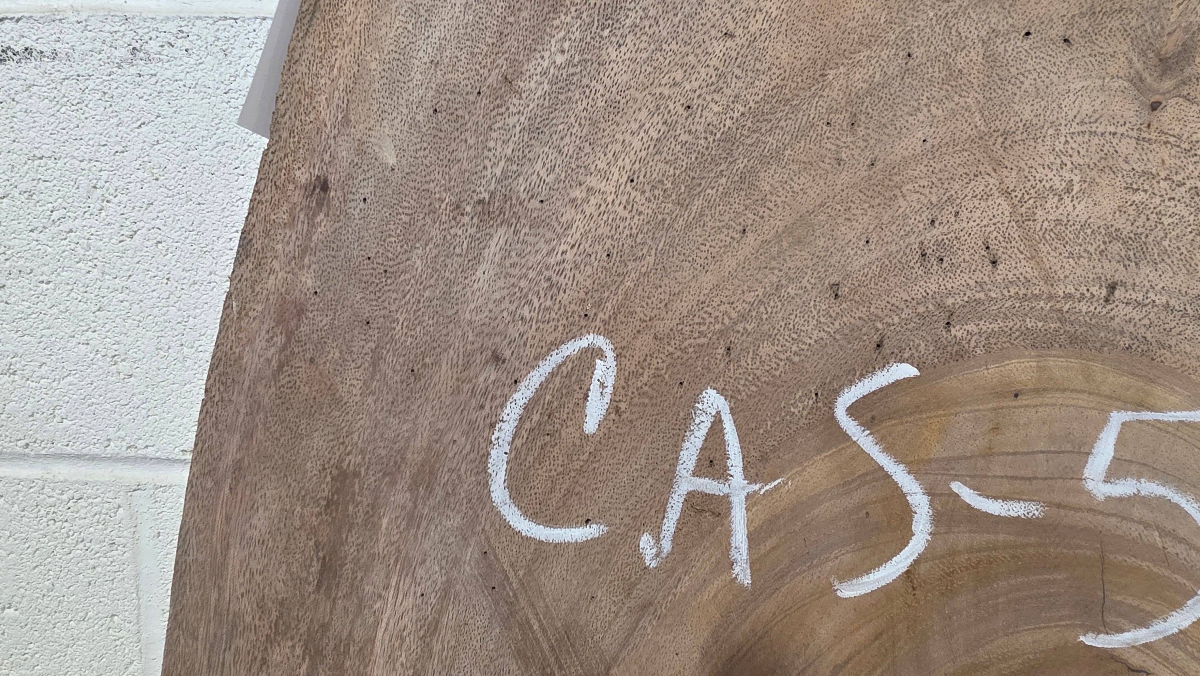 Wild Cashew | CAS-5002