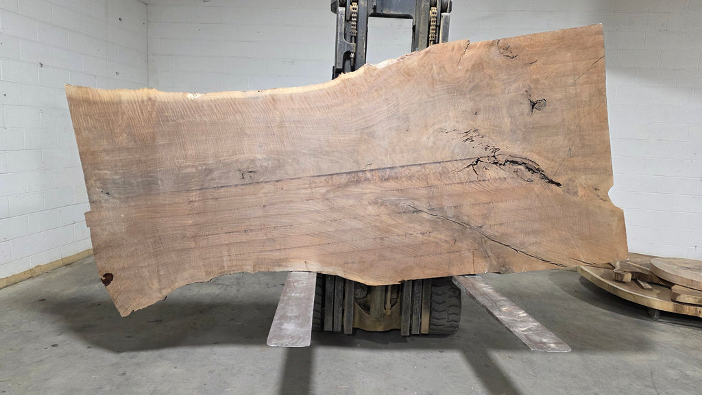 Claro Walnut | CW-5001