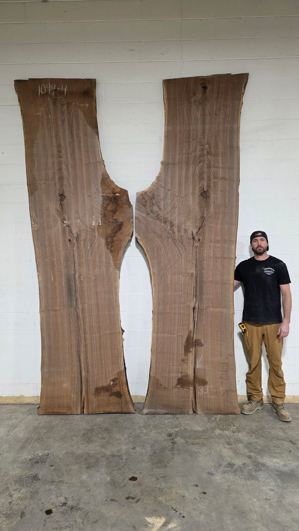 Black Walnut | BW-5004-1&2