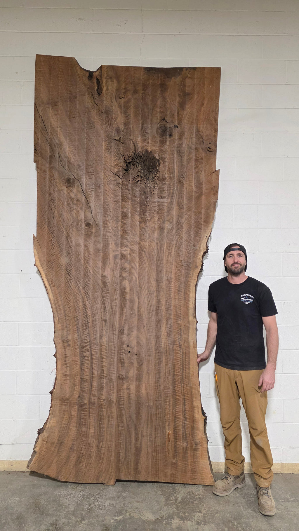 Claro Walnut | CW-5001