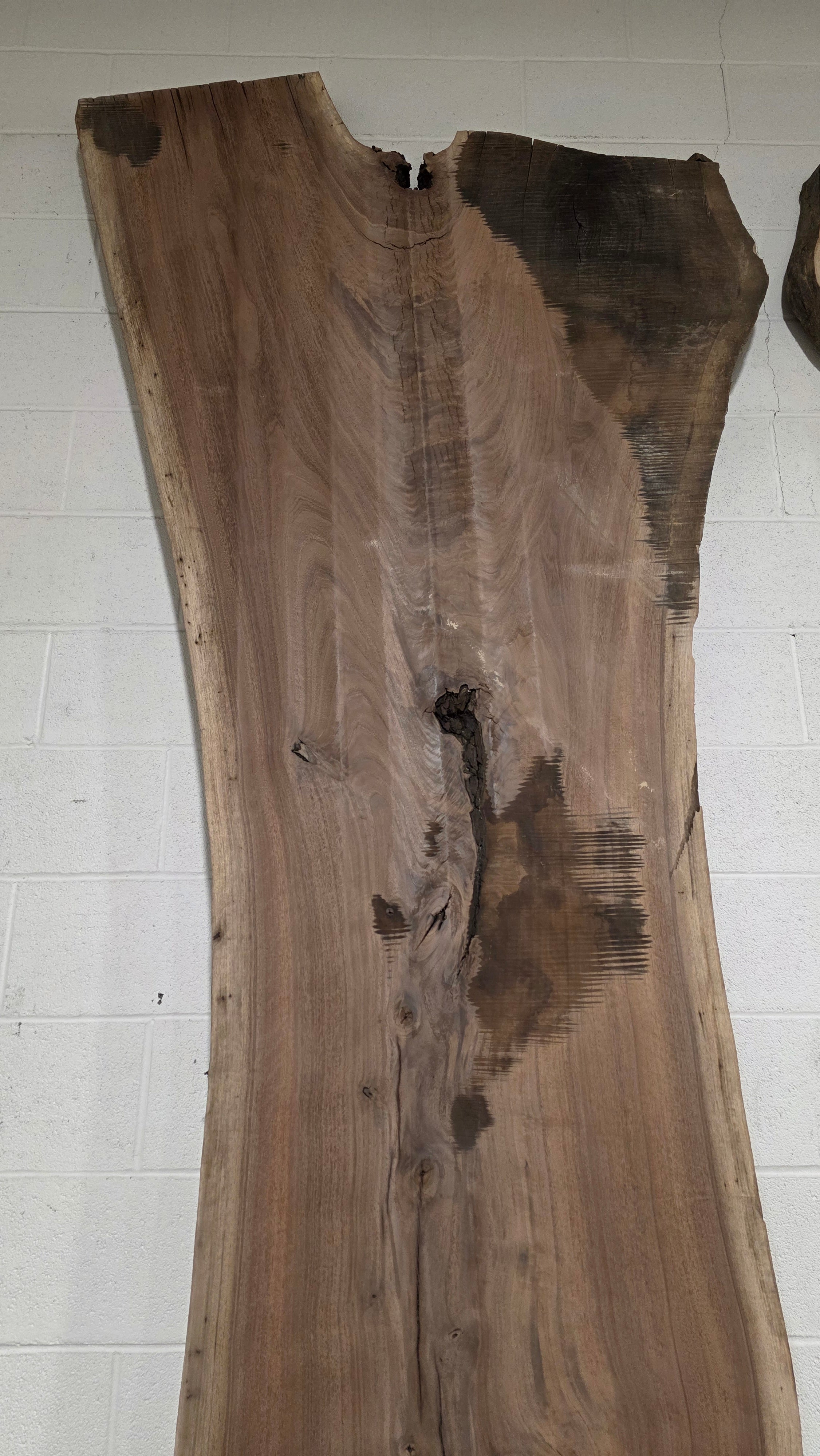 Black Walnut | BW-5006-1&2
