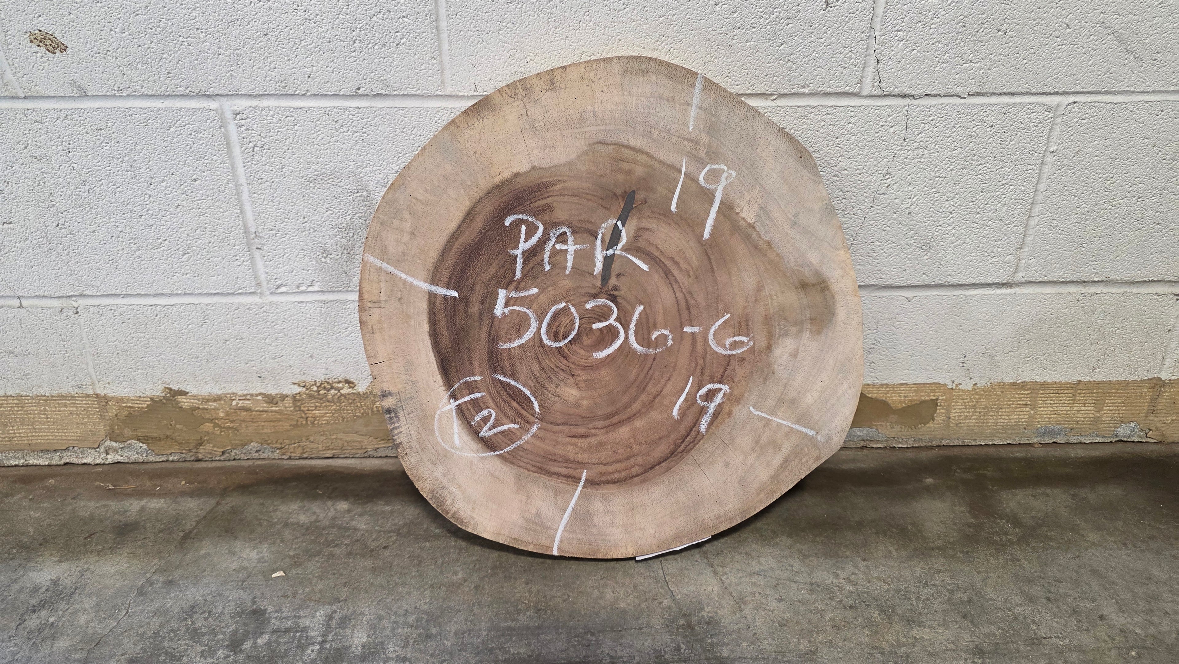 Parota | PAR-5036-6
