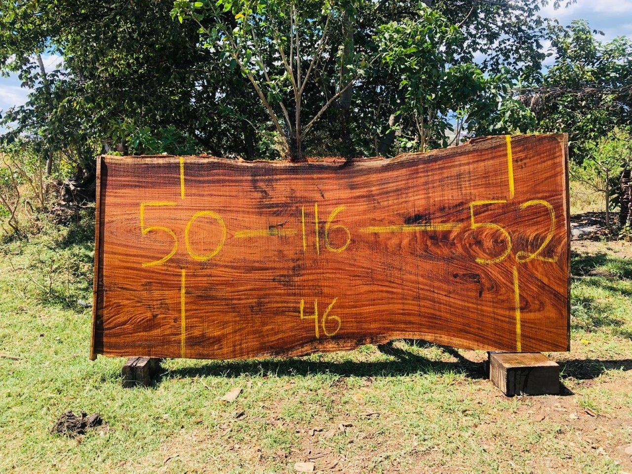 Parota | PAR-5040-1