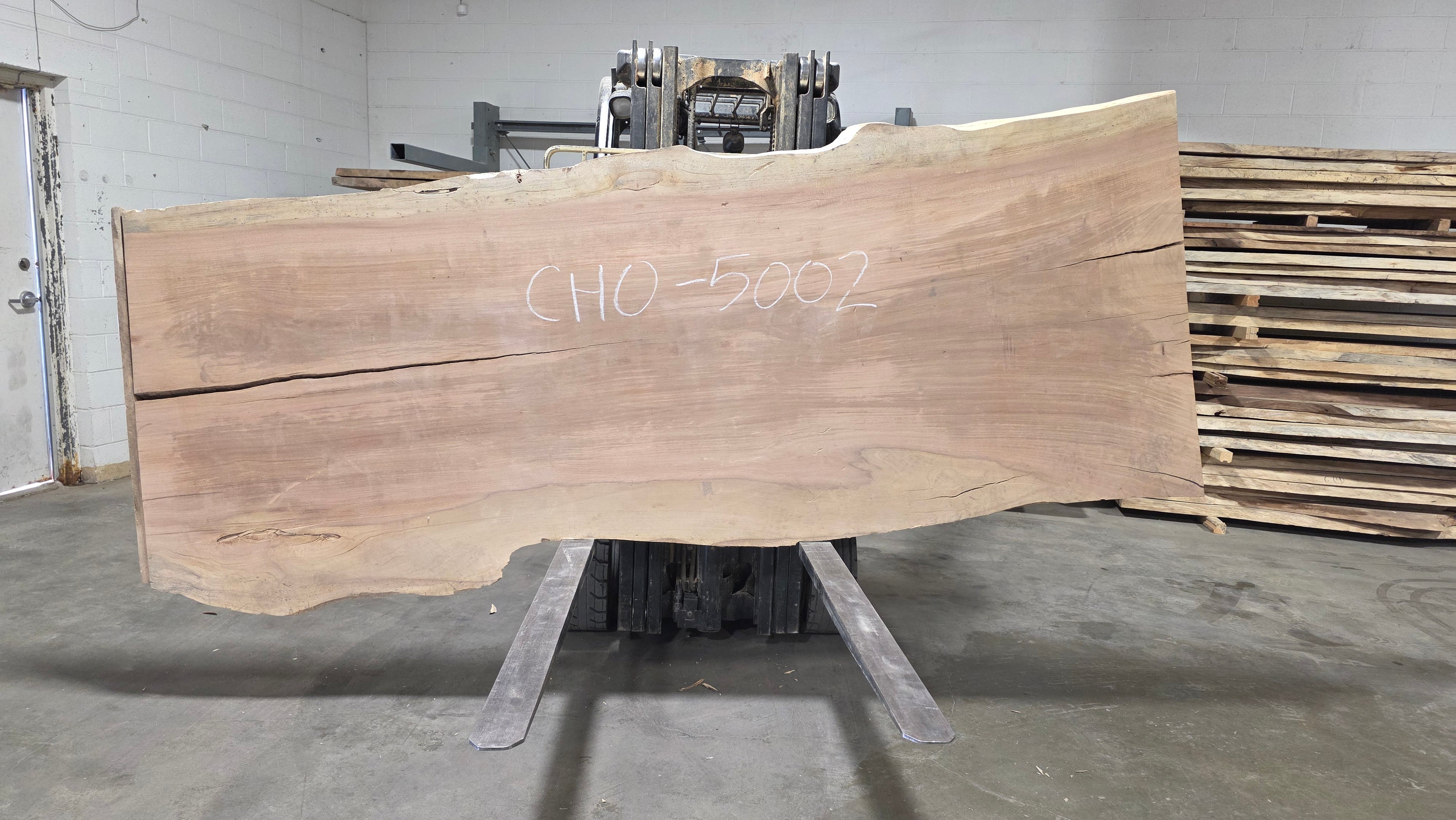 Chiricano | CHO-5002