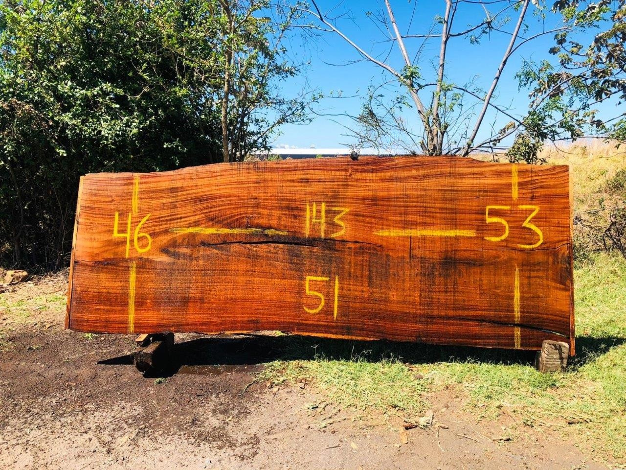 Parota | PAR-5039-2