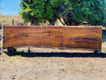 Parota | PAR-5048-2