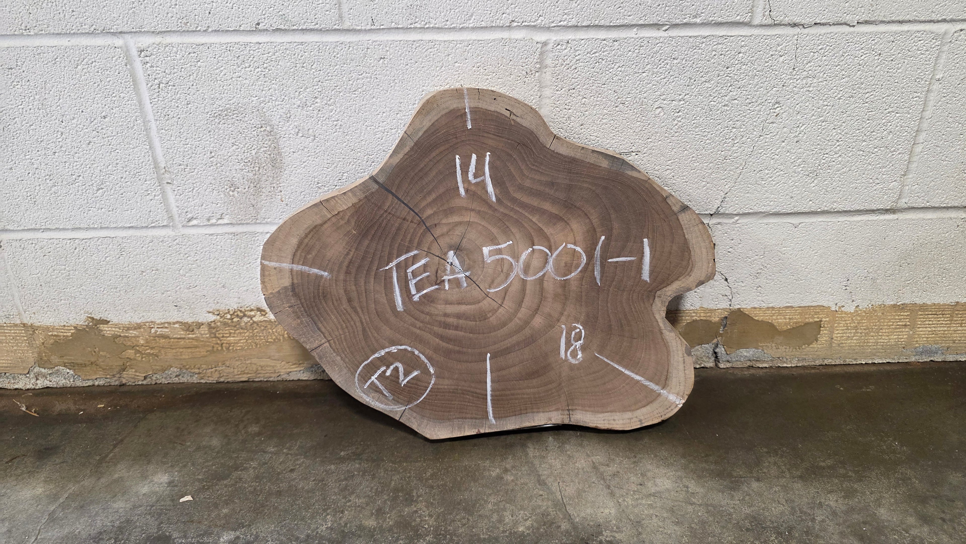 Teak | TEA-5001-1