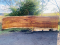 Parota | PAR-5042-1