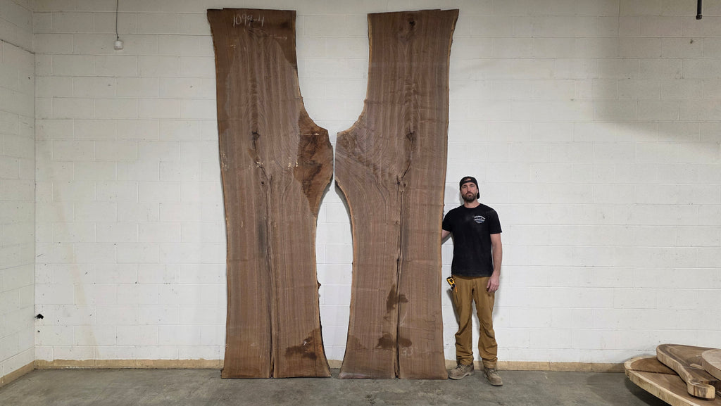 Black Walnut | BW-5004-1&2