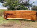 Parota | PAR-5038-1