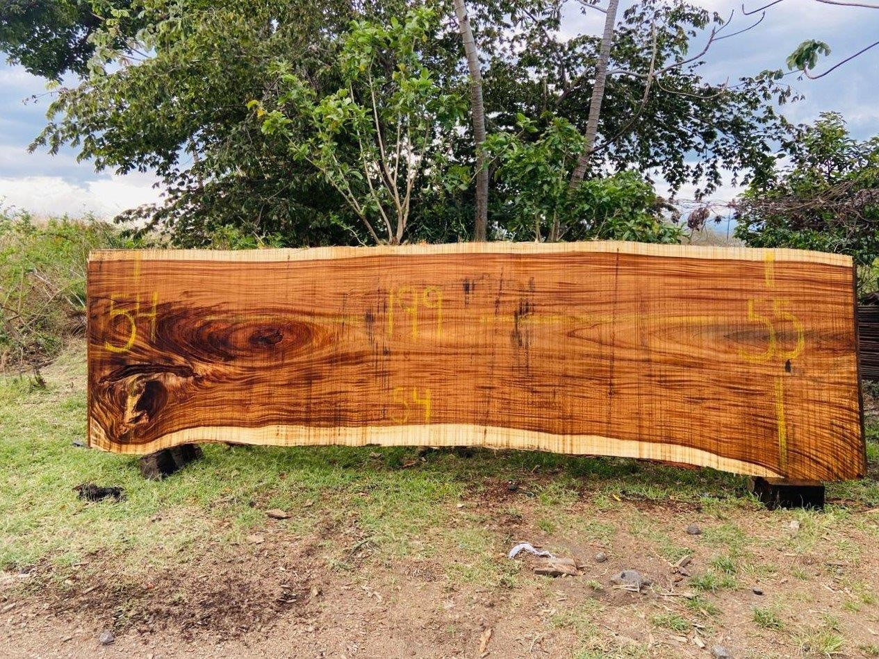 Parota | PAR-5038-1