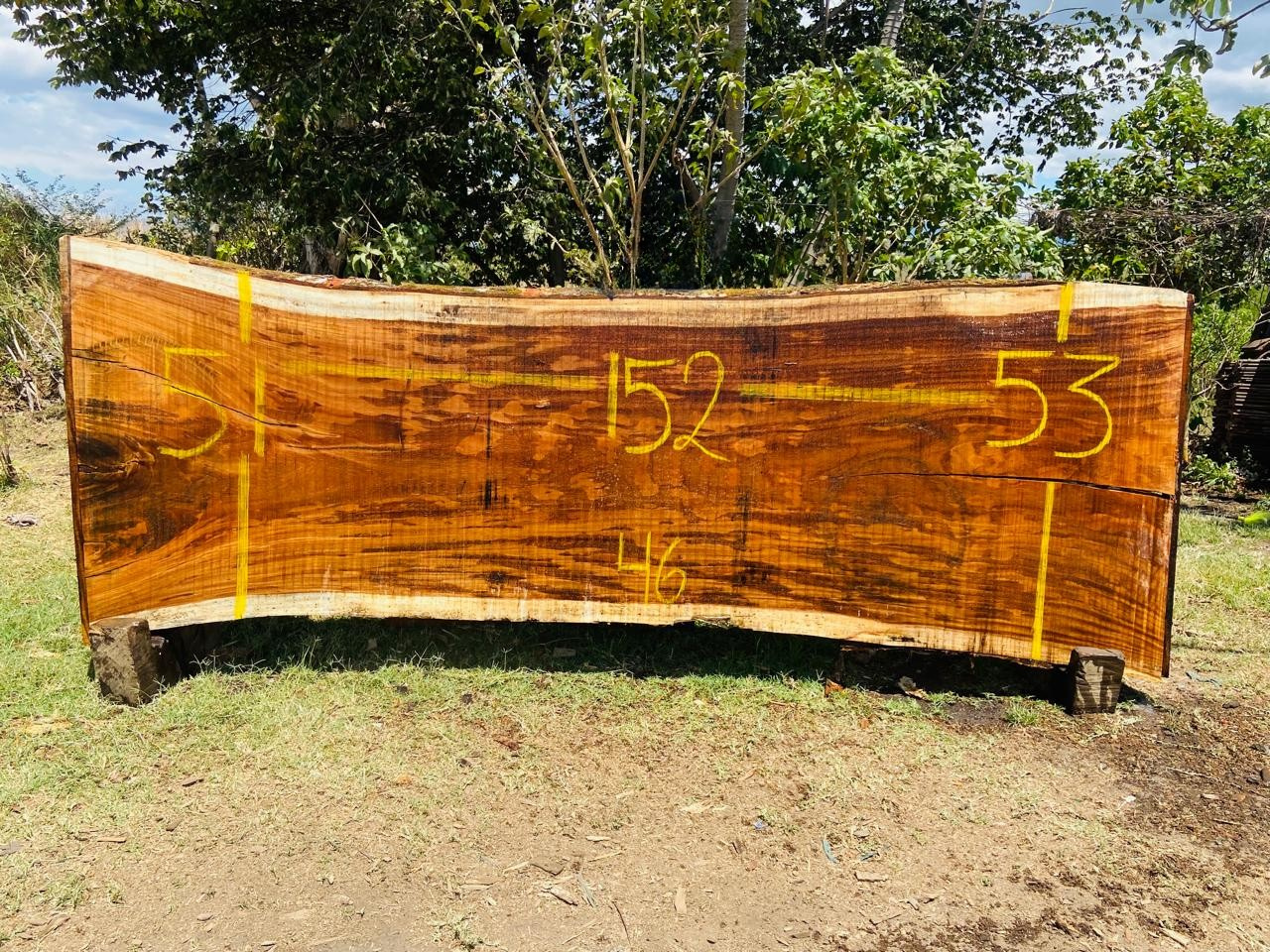 Parota | PAR-5051-3
