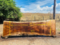 Parota | PAR-5055-5