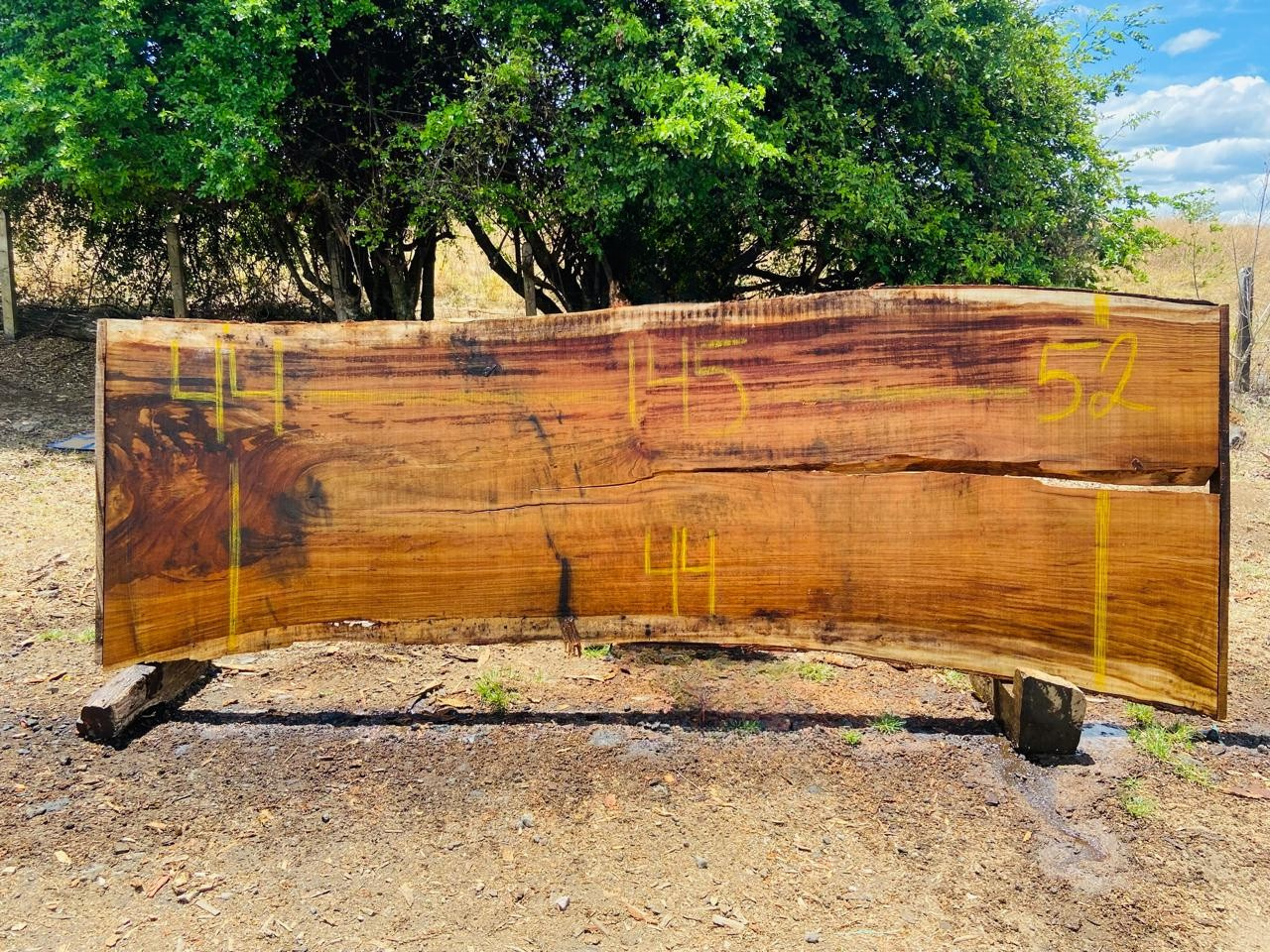 Parota | PAR-5055-2