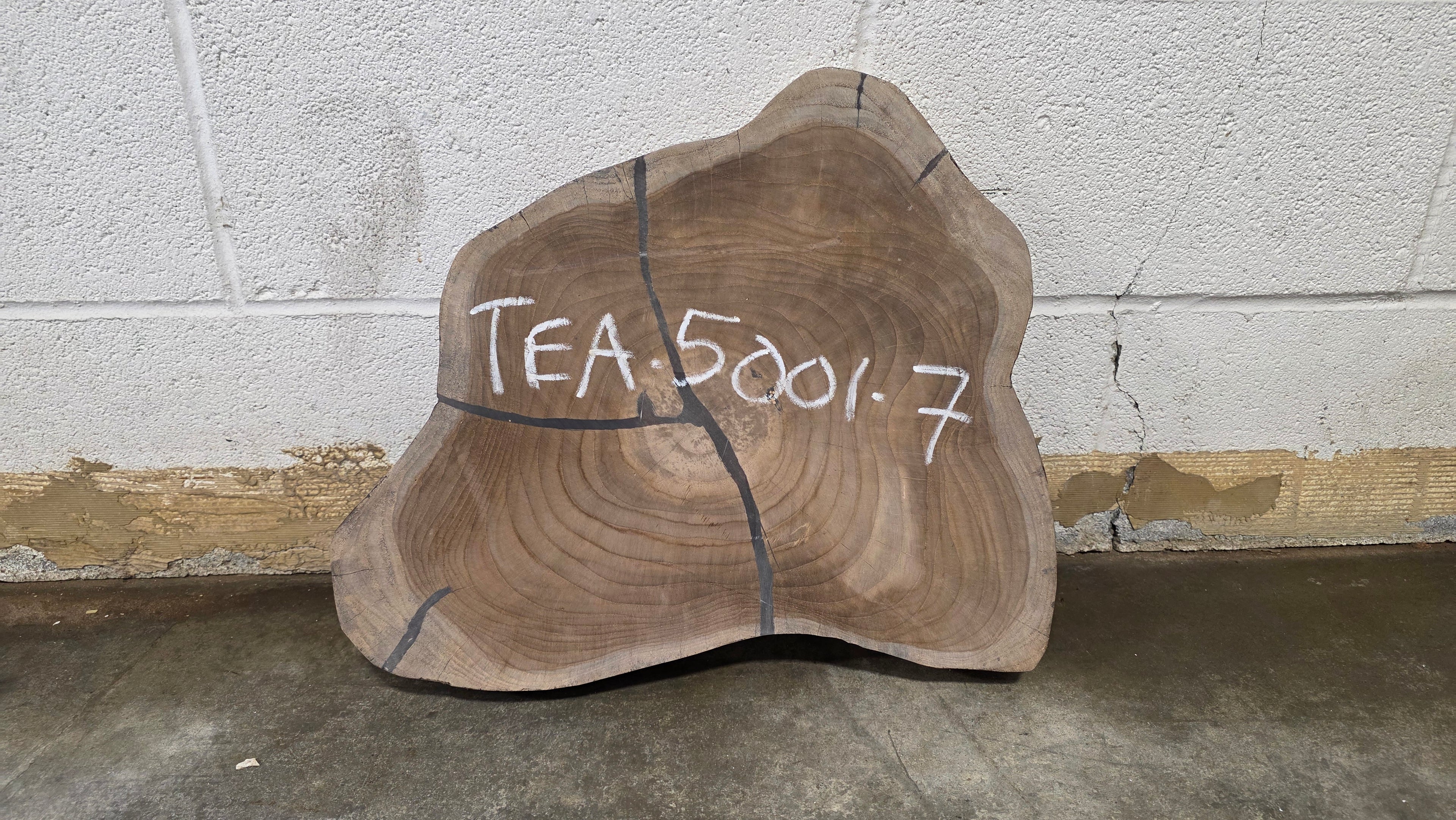 Teak | TEA-5001-7