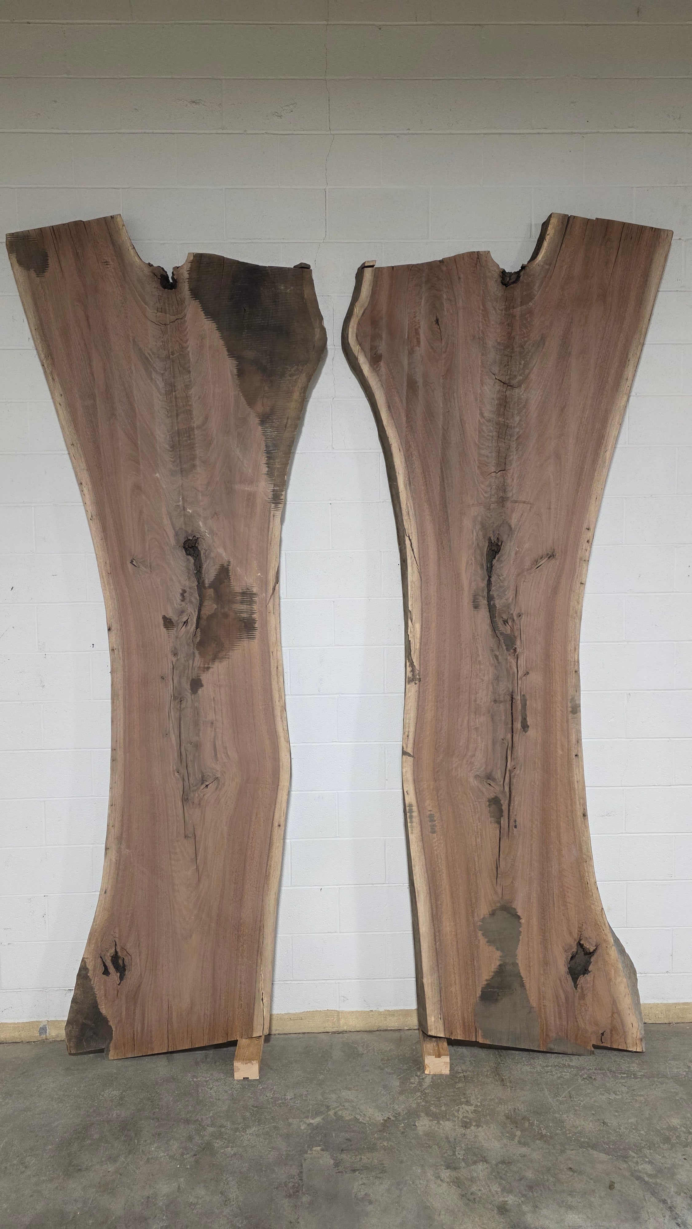 Black Walnut | BW-5006-1&2