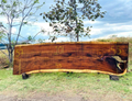 Parota | PAR-5038-2