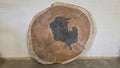 Parota | PAR-5031
