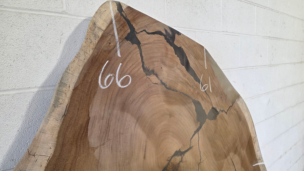 Parota | PAR-5033-2
