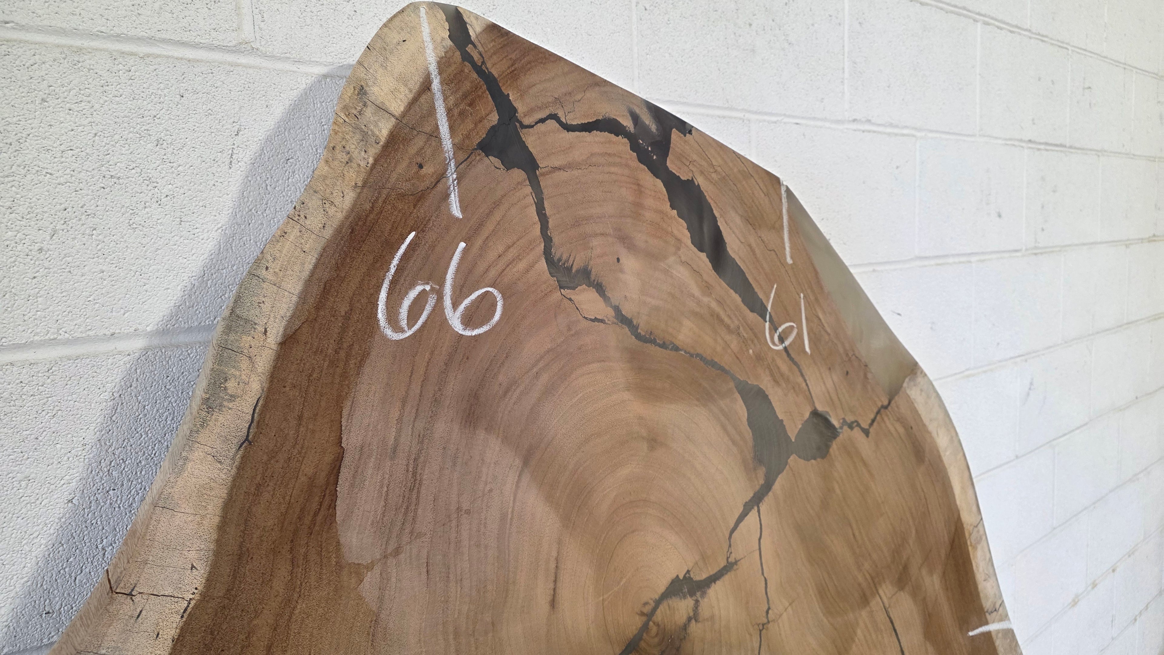 Parota | PAR-5033-2