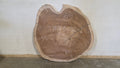 Parota | PAR-5032-1