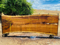 Parota | PAR-5055-1