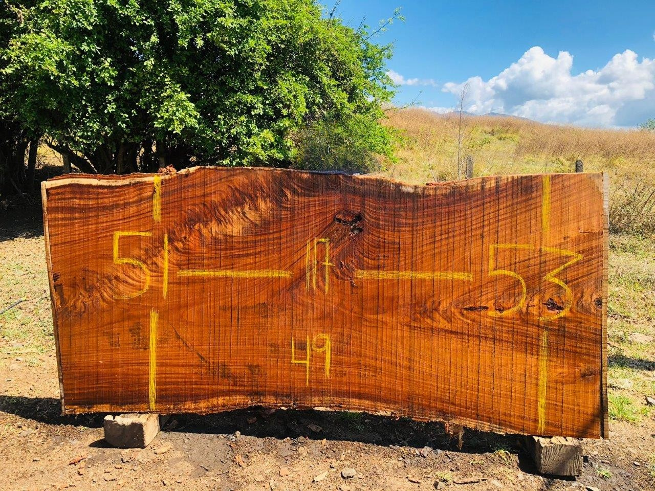 Parota | PAR-5040-8