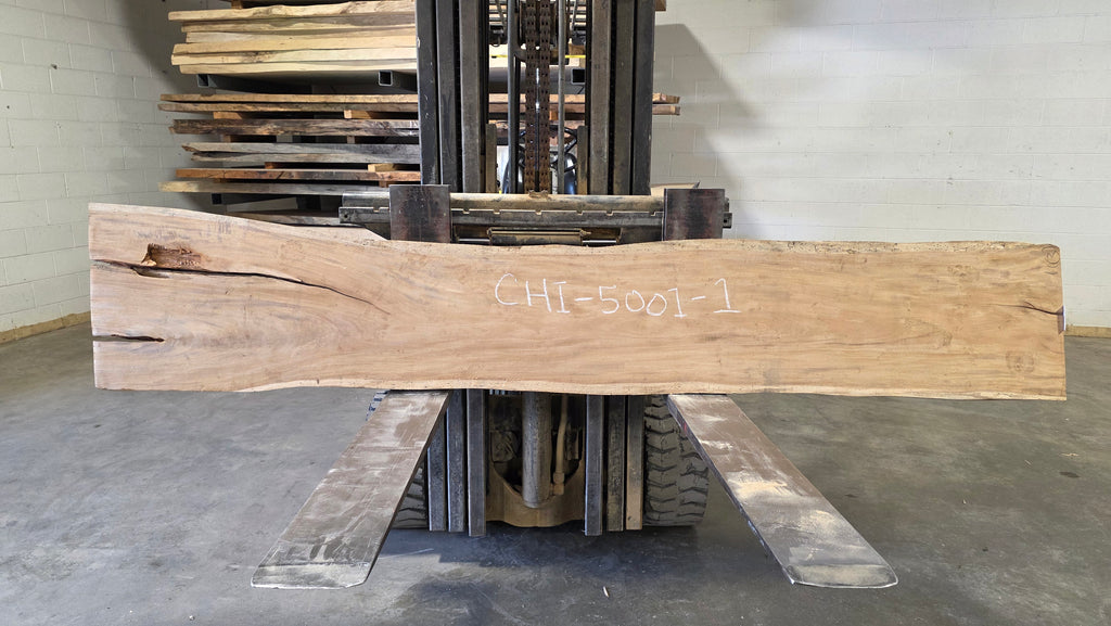 Chime Tree | CHI-5001-1