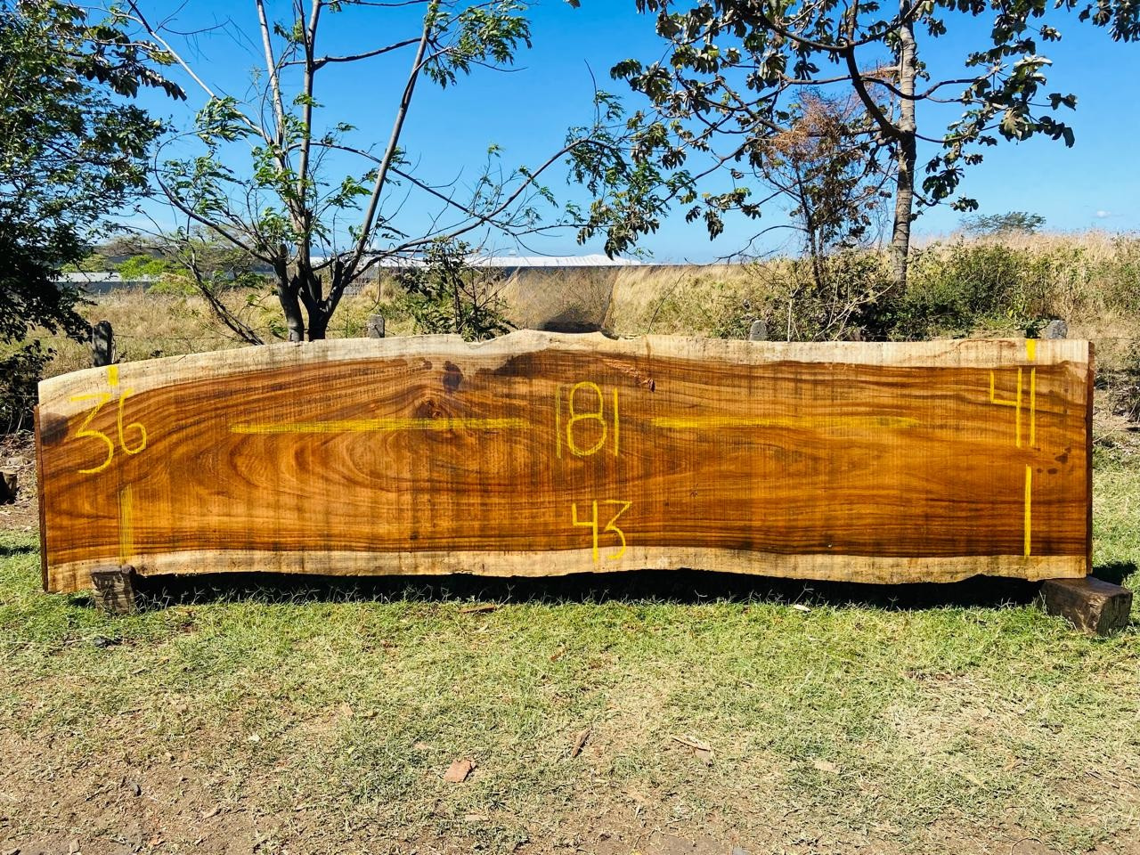 Parota | PAR-5045