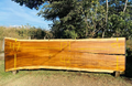 Parota | PAR-5049-1