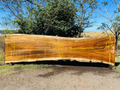 Parota | PAR-5046