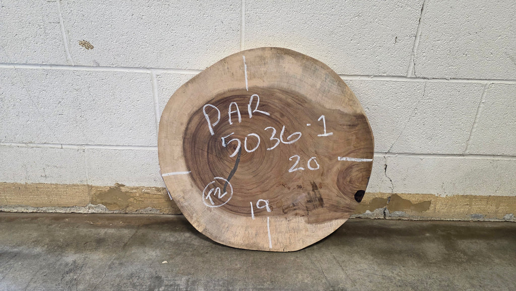 Parota | PAR-5036-1