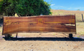 Parota | PAR-5048-1