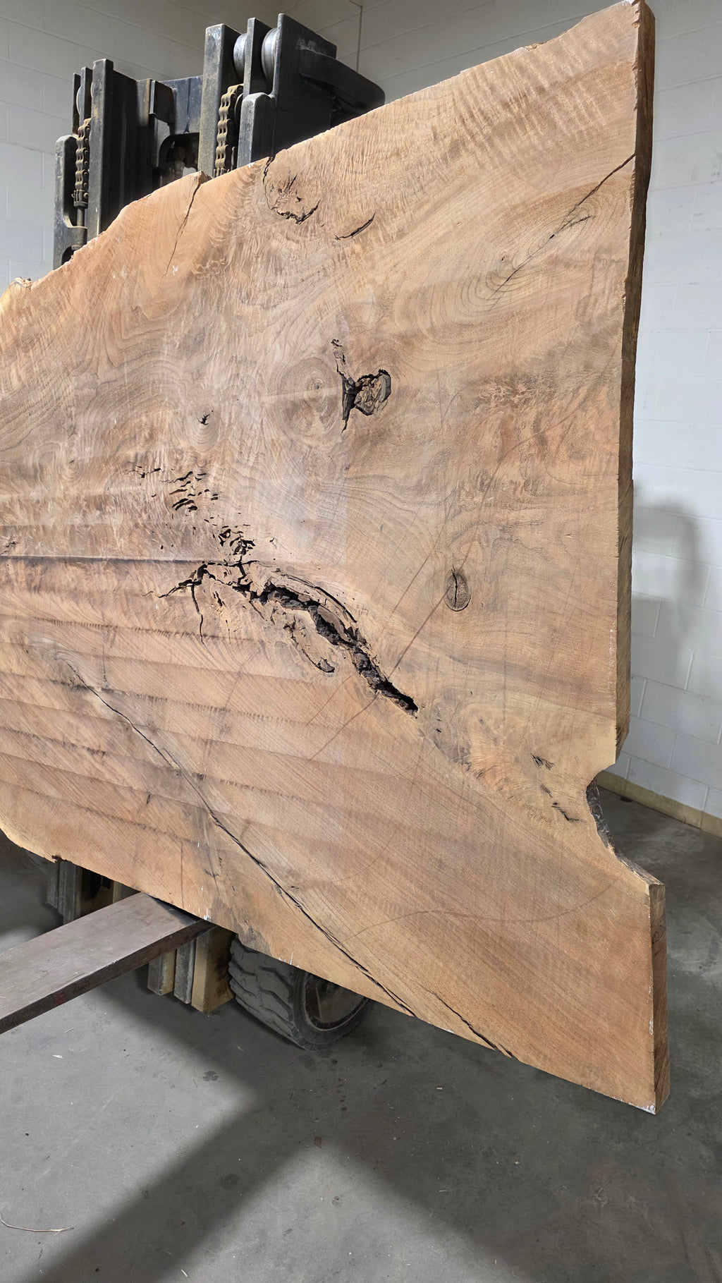 Claro Walnut | CW-5001