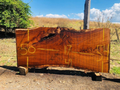 Parota | PAR-5040-7