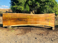Parota | PAR-5043-2