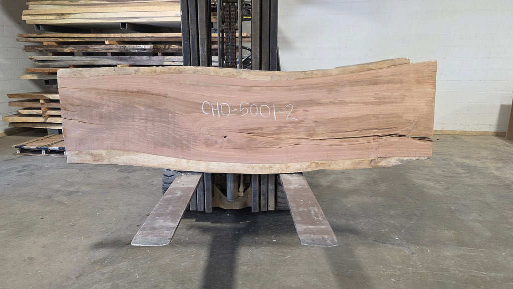 Chiricano | CHO-5001-2