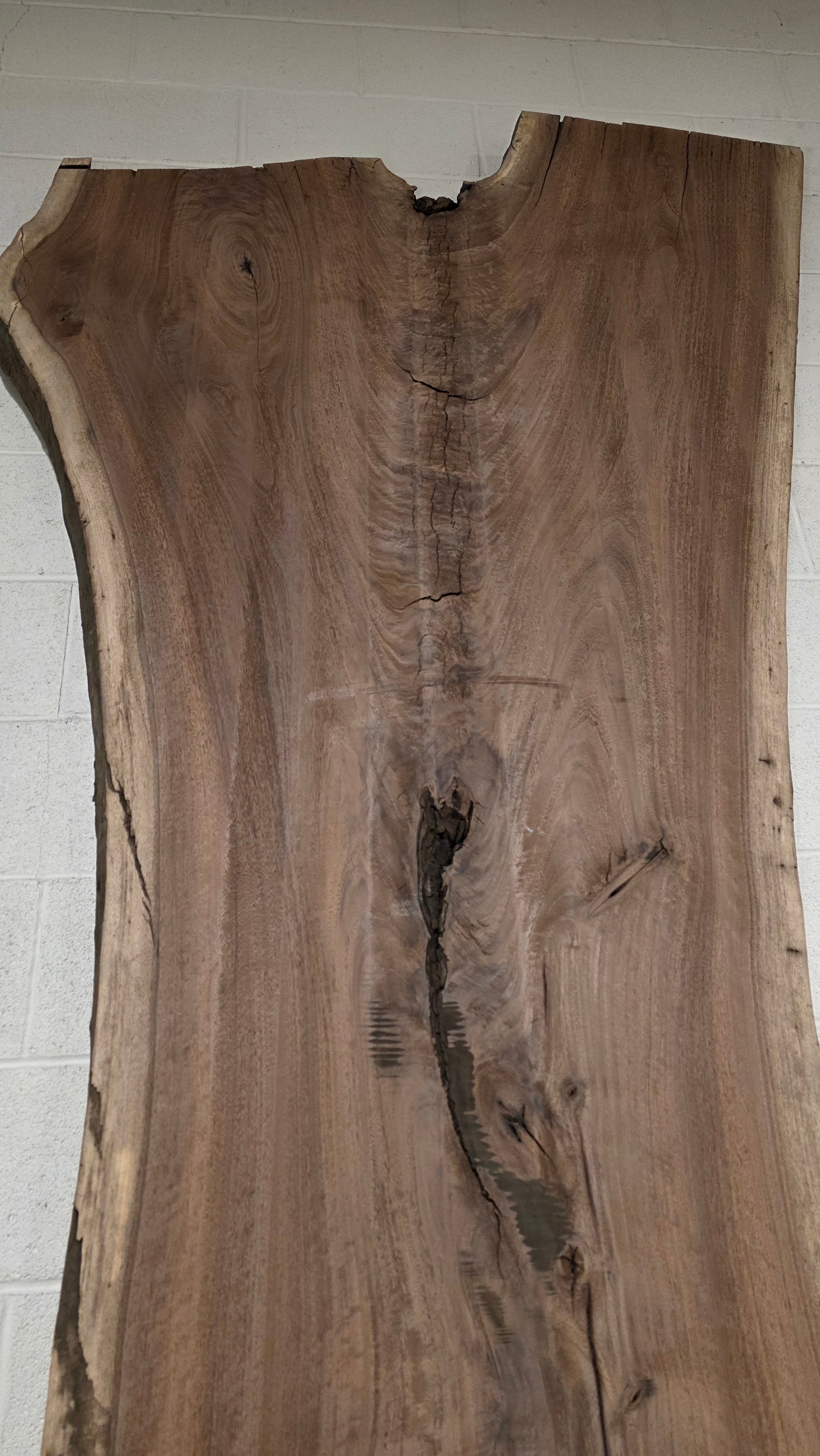 Black Walnut | BW-5006-1&2