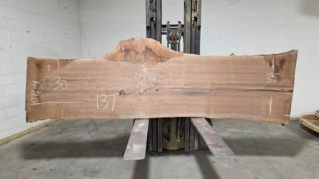 Black Walnut | BW-5004-1&2