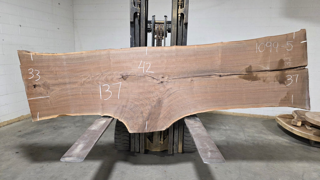 Black Walnut | BW-5004-1&2