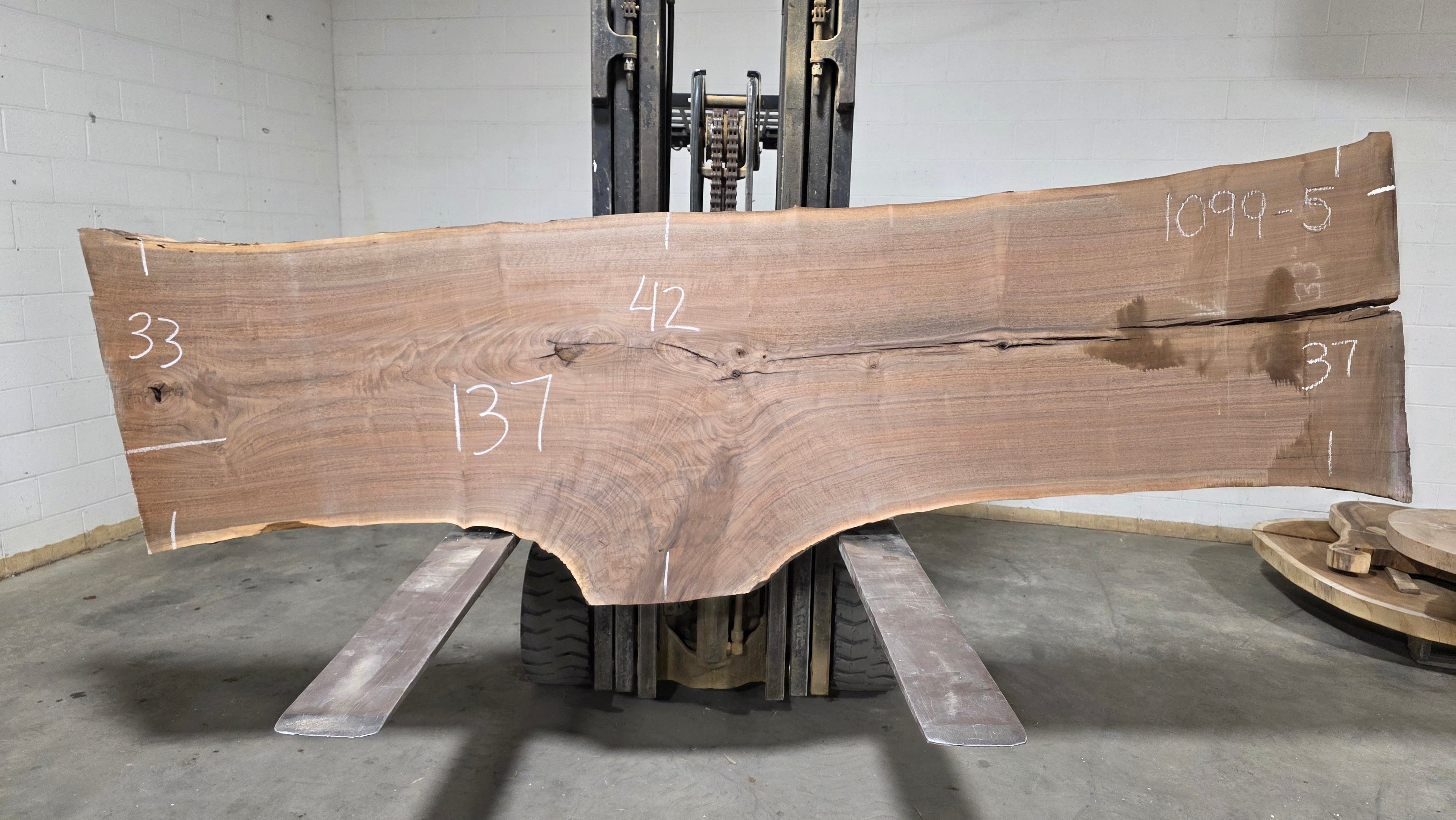 Black Walnut | BW-5004-1&2