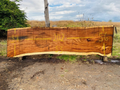 Parota | PAR-5038-5