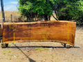 Parota | PAR-5055-3