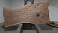 Claro Walnut | CW-5001