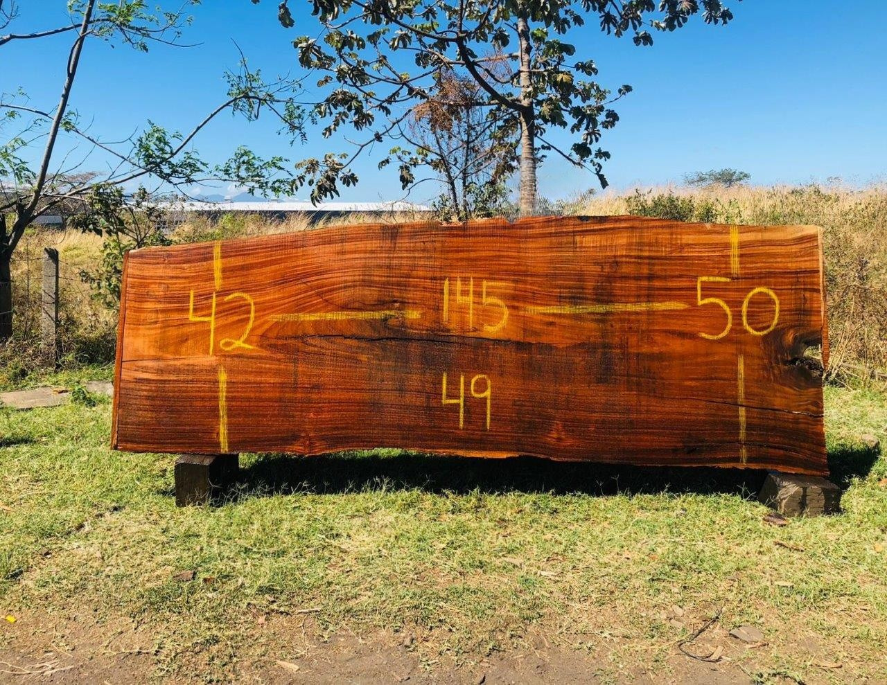 Parota | PAR-5039-1